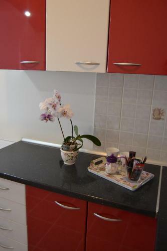 Apartman Rada