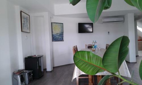Apartment Setaliste