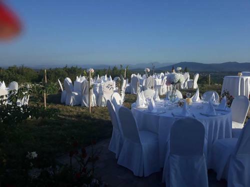 Apartamento Villa Ljuba