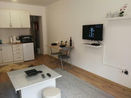 Studio Apartman Aras