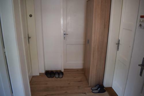 Albergue Spring