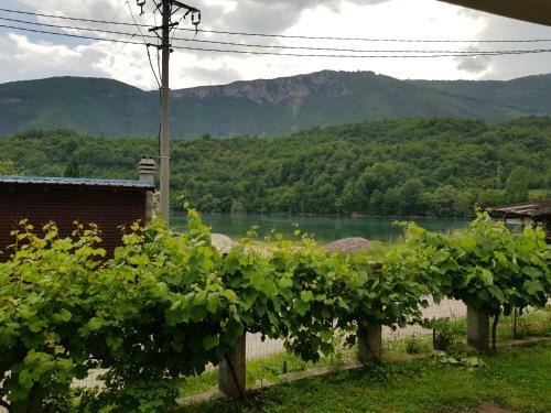 Hostal Lakeview Rest Home