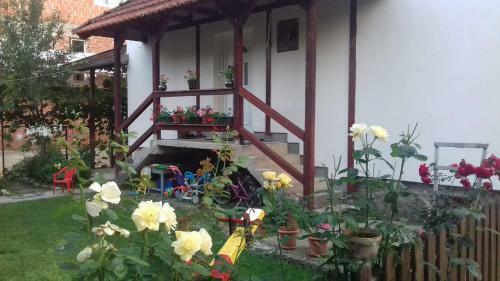 Apartment Dil