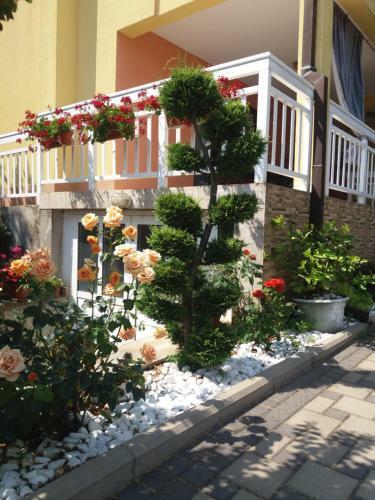Hostal Ivana Rooms