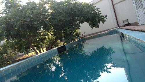Hostal Rooms Ava Raj