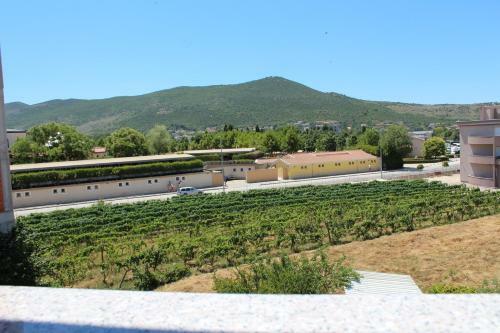 Hostal Pansion Valentino