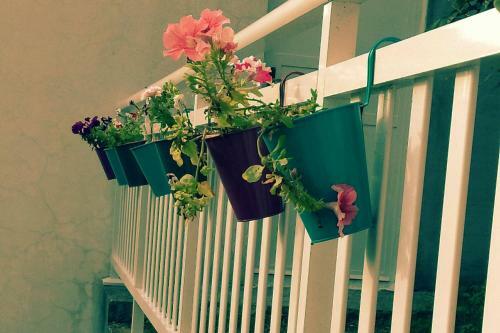 Bed & Breakfast Pansion Ponte