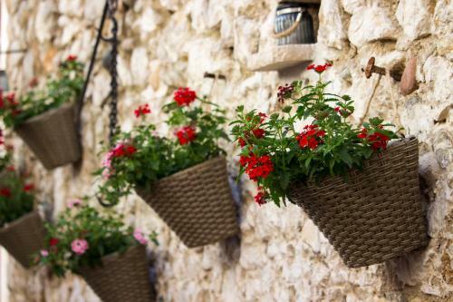 Bed & Breakfast Villa Divani