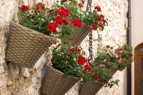 Bed & Breakfast Villa Divani