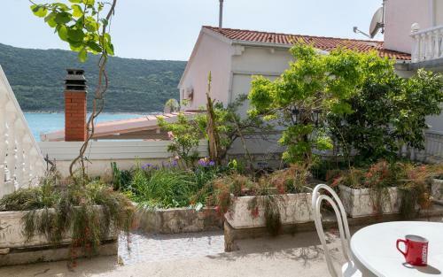 Apartments Sentic