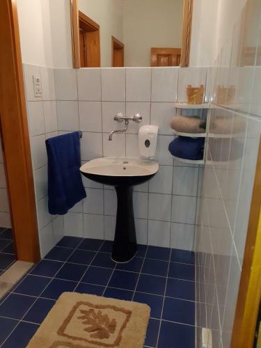 Apartman Pahuljica