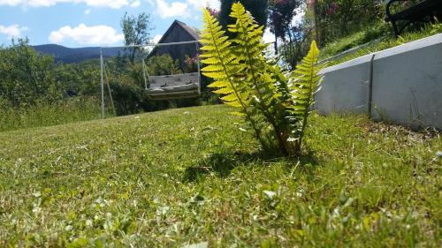 Vikend Ku?a Careva ?uprija