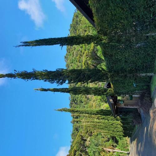 Chal� Canto Bem-te-vi