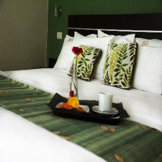 Hotel Bg Los Lagos