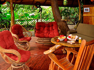 Hotel Tree House Lodge