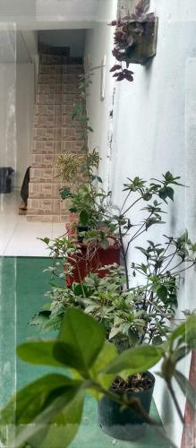 Apartamento Casa Dos Av�s