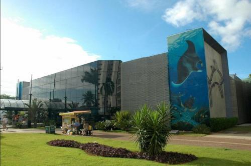 Apartamento Praia 803