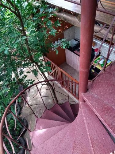 Ref�gio S�o Francisco - Cip�