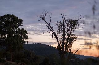 Hotel Yering Gorge Cottages