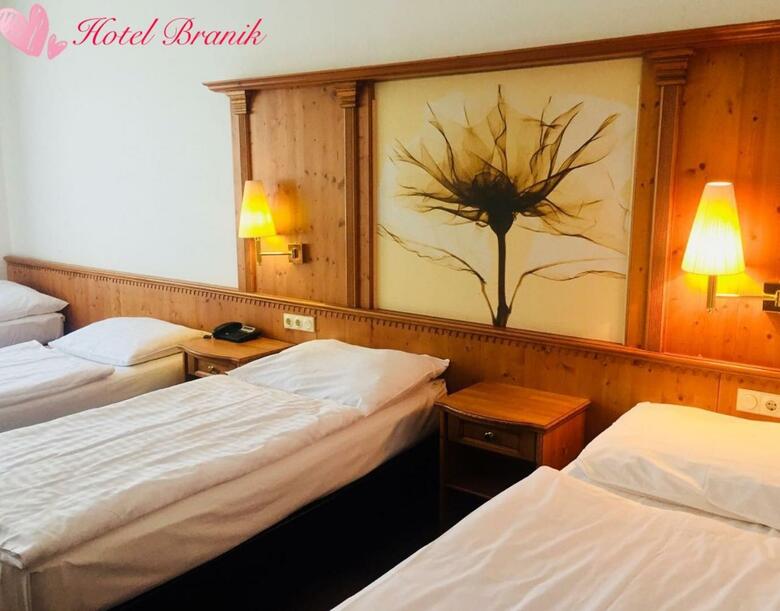 Hotel Branik