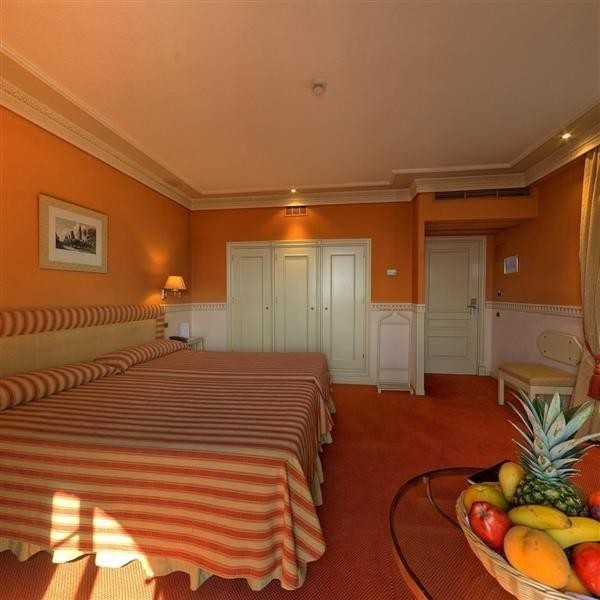 Hotel Alhambra Palace