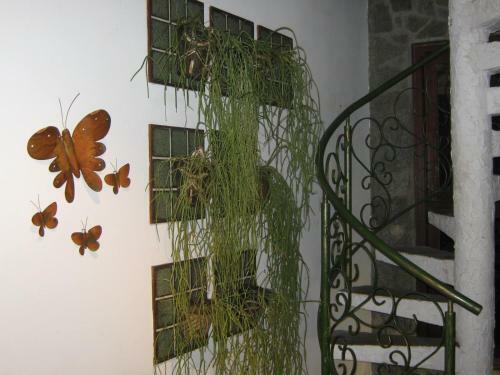 Bed & Breakfast Casa Do Amoroso