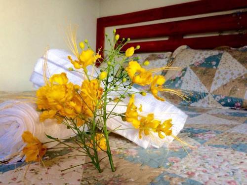 Hostel Jenafree