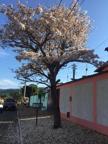 Su�te De Piri