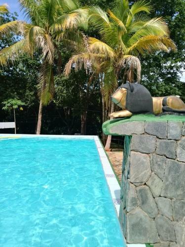 Hostal Pousada Vila Cintra