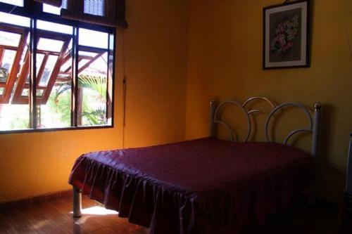 Casa Marrom