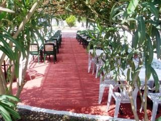 Hotel Didyma House