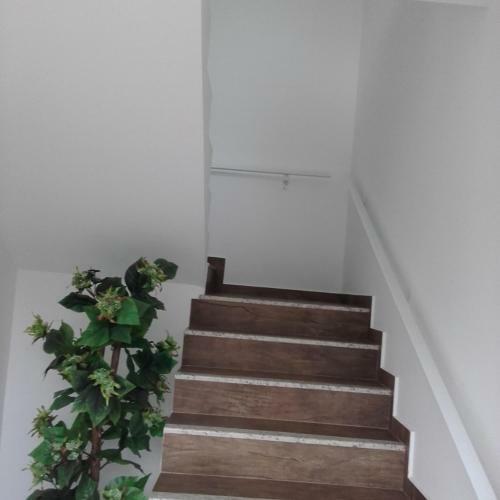 Conforto Em Pomerode