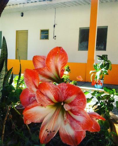 Hostal Pousada Bela Vista