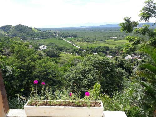 Hostal Floresta Tropical