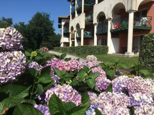 Residence Soko Eder
