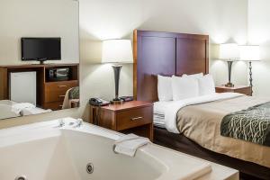 Hotel Comfort Inn