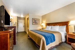 Hotel Comfort Inn