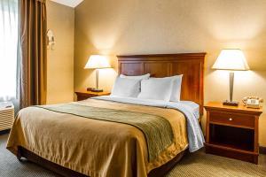 Hotel Comfort Inn