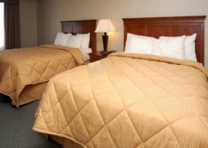 Hotel Comfort Inn