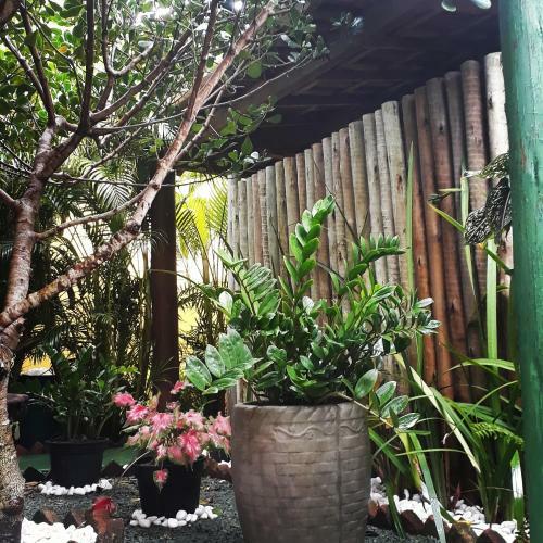 Hostal Pousada Corais Do Sul