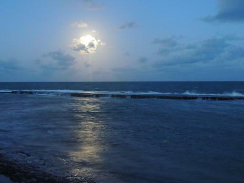 Lodge Pontal Do Sonhos- Chal� �rvore Praia