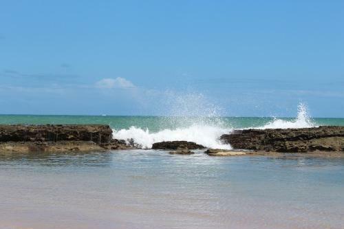 Lodge Pontal Do Sonhos- Chal� �rvore Praia