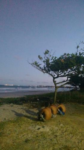 Recanto Maria Ant�nia E Hostel.