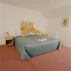 Stay Central Hotel