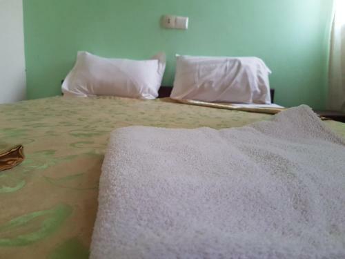 Hotel Lion D'or