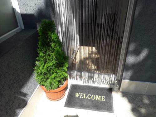 Hostal Guest House Simon Green