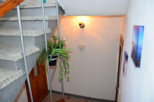 Hostal Guest Rooms Didi