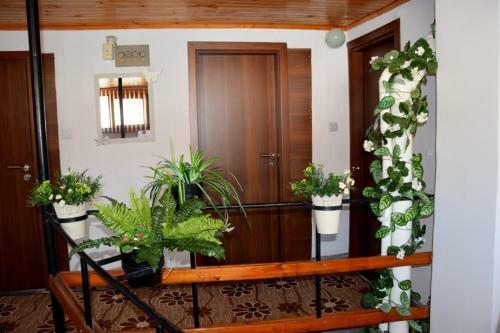 Hostal Guest Rooms Didi