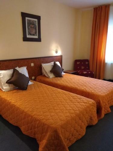 Hotel Chateau Vaptzarov