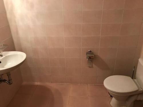 Predela Nadezhda Apartment
